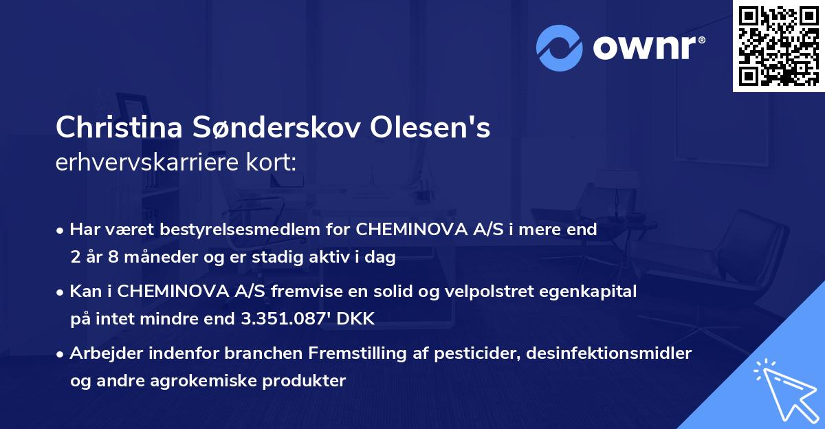 Christina Sønderskov Olesen's erhvervskarriere kort