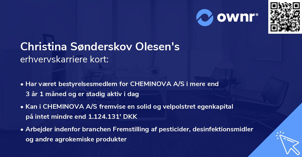 Christina Sønderskov Olesen's erhvervskarriere kort