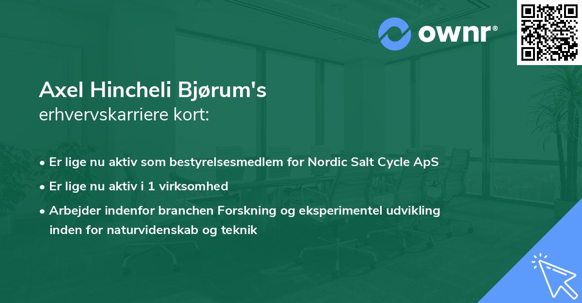Axel Hincheli Bjørum's erhvervskarriere kort