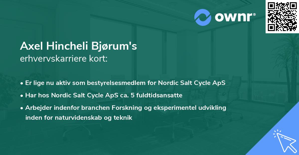 Axel Hincheli Bjørum's erhvervskarriere kort