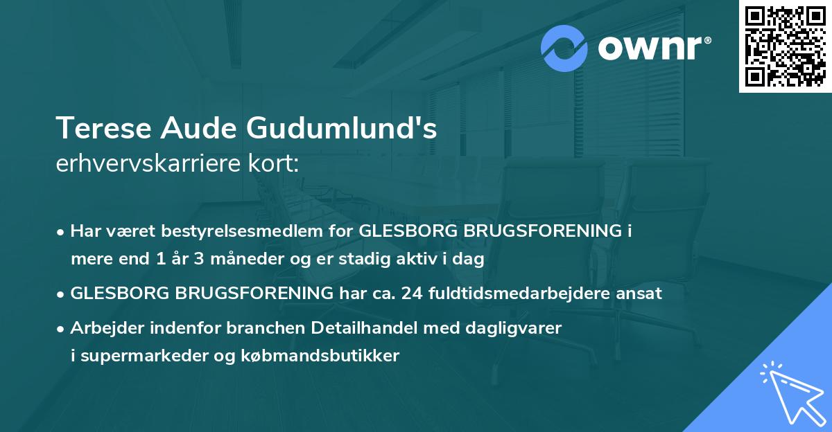 Terese Aude Gudumlund's erhvervskarriere kort