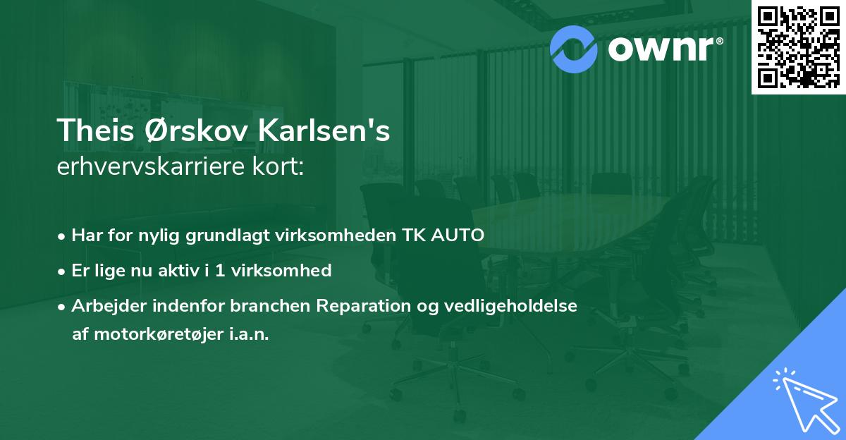 Theis Ørskov Karlsen's erhvervskarriere kort