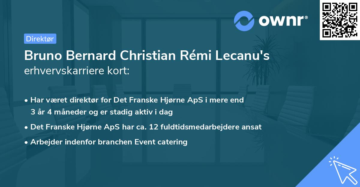 Bruno Bernard Christian Rémi Lecanu's erhvervskarriere kort