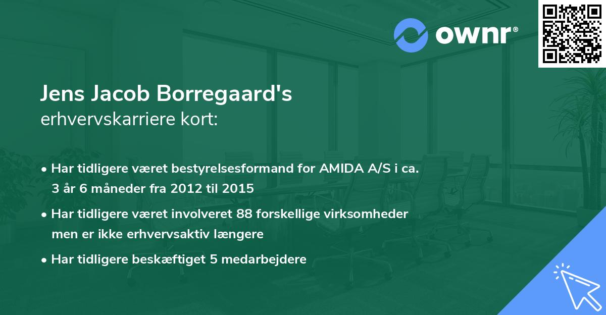 Jens Jacob Borregaard's erhvervskarriere kort