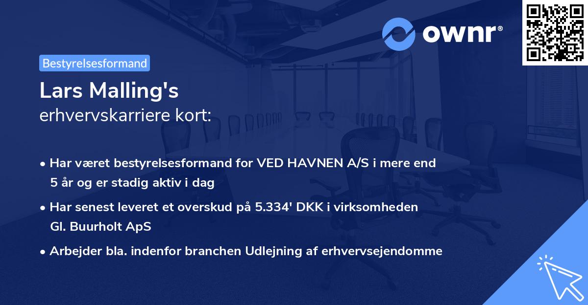 Lars Malling's erhvervskarriere kort