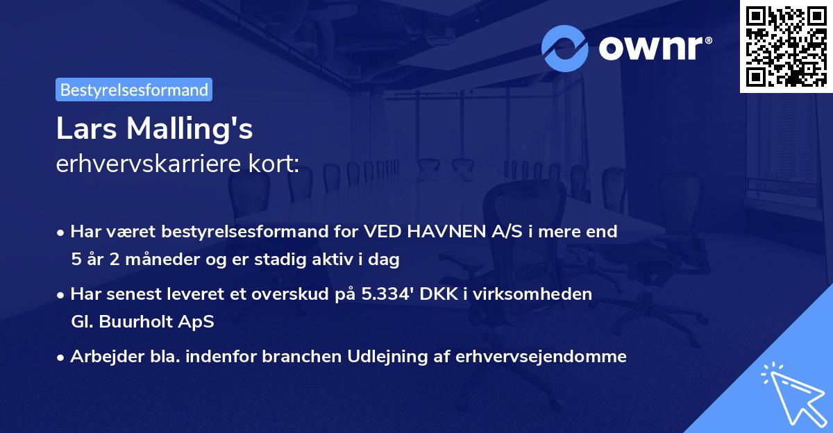 Lars Malling's erhvervskarriere kort