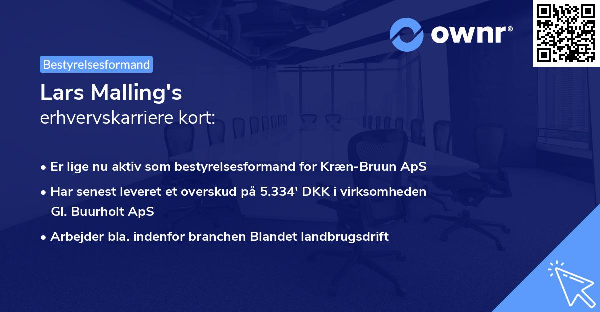 Lars Malling's erhvervskarriere kort