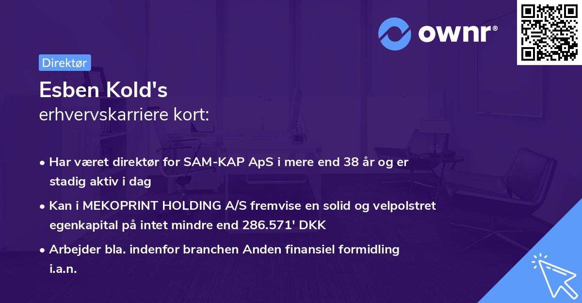 Esben Kold's erhvervskarriere kort