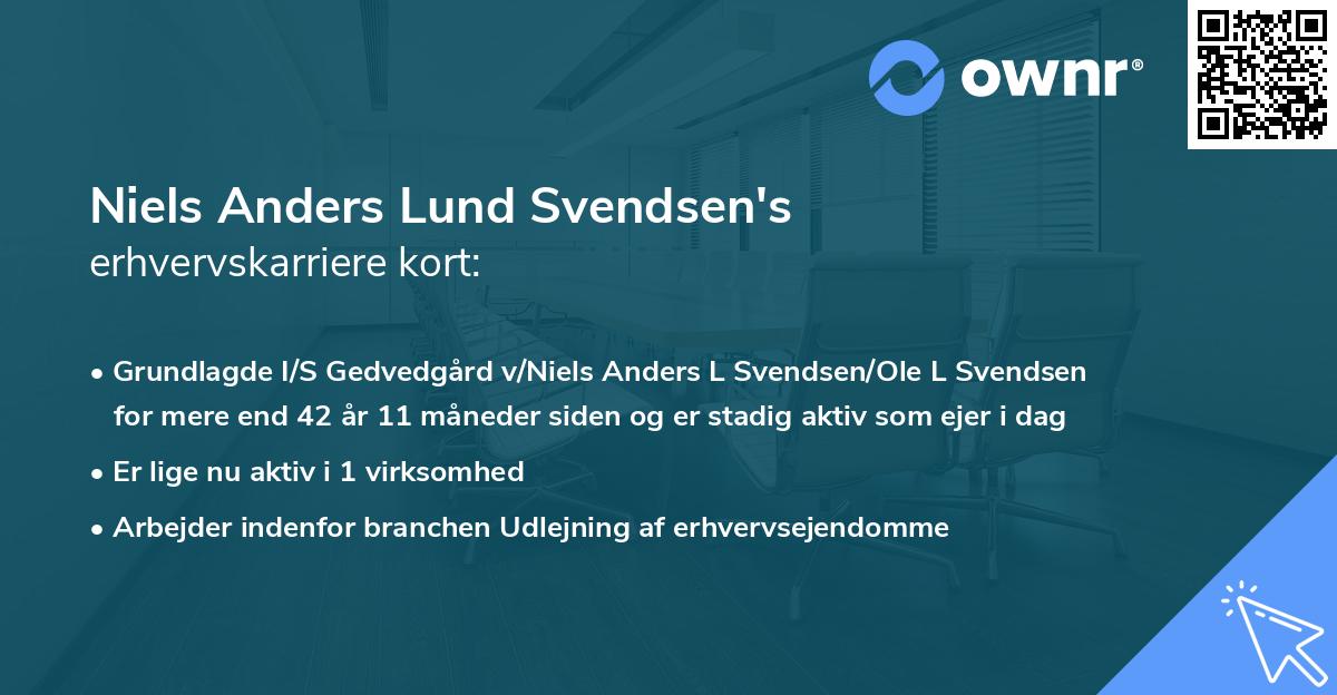 Niels Anders Lund Svendsen's erhvervskarriere kort