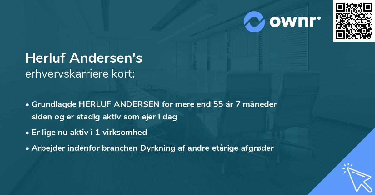 Herluf Andersen's erhvervskarriere kort