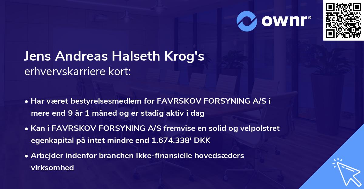 Jens Andreas Halseth Krog's erhvervskarriere kort