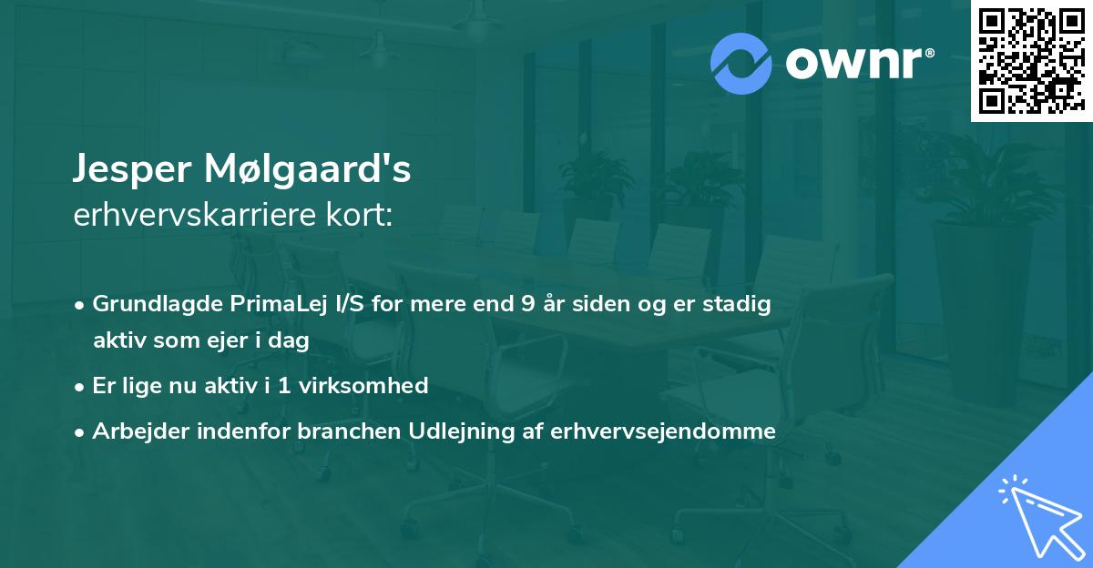 Jesper Mølgaard's erhvervskarriere kort