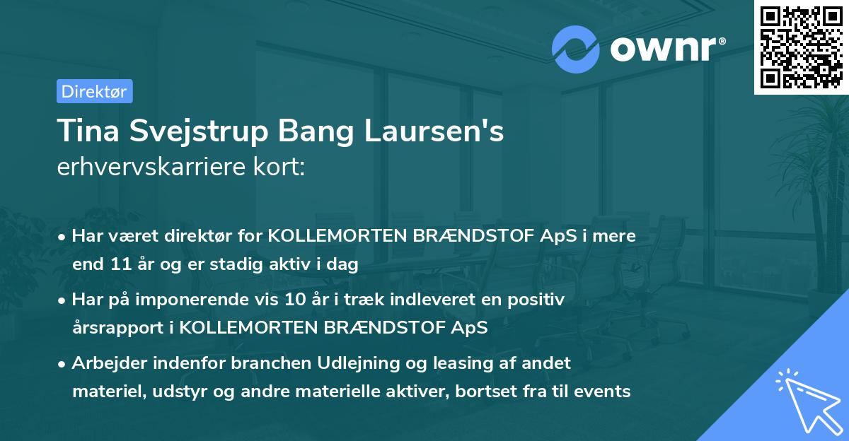 Tina Svejstrup Bang Laursen's erhvervskarriere kort