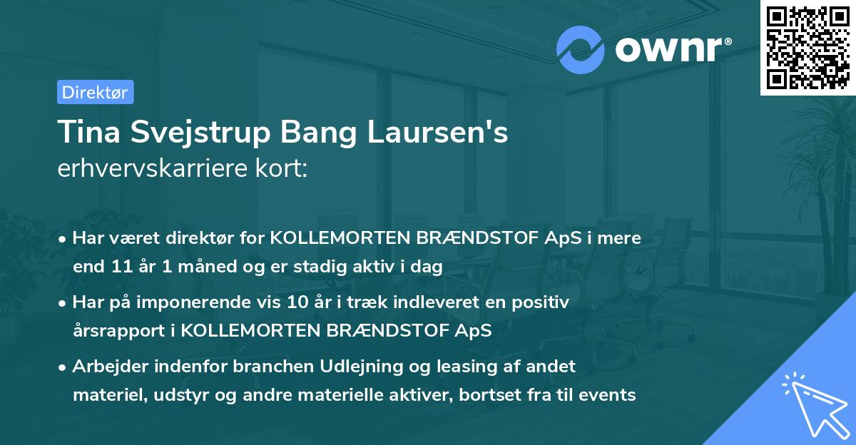 Tina Svejstrup Bang Laursen's erhvervskarriere kort