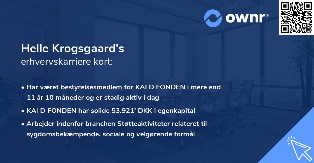 Helle Krogsgaard's erhvervskarriere kort