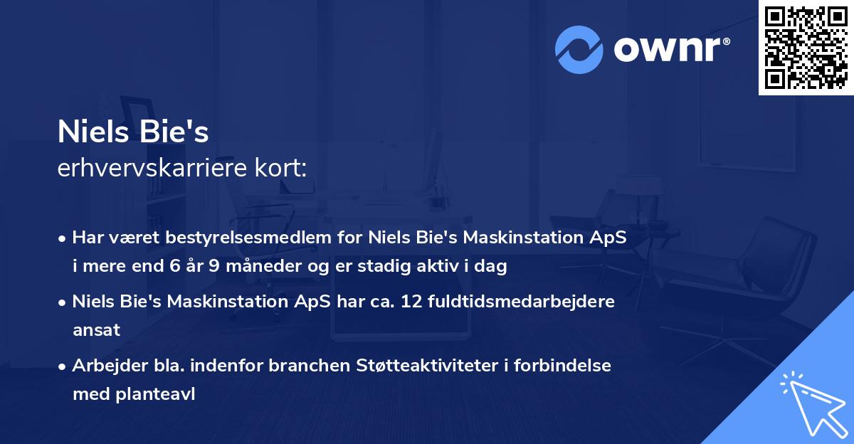 Niels Bie's erhvervskarriere kort