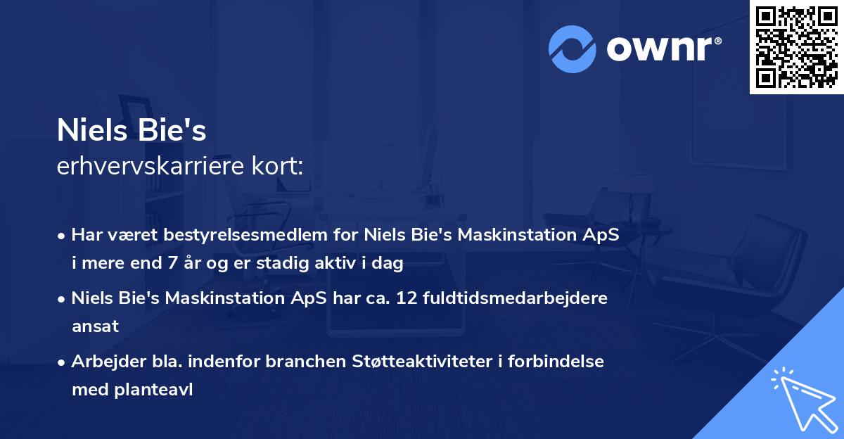 Niels Bie's erhvervskarriere kort