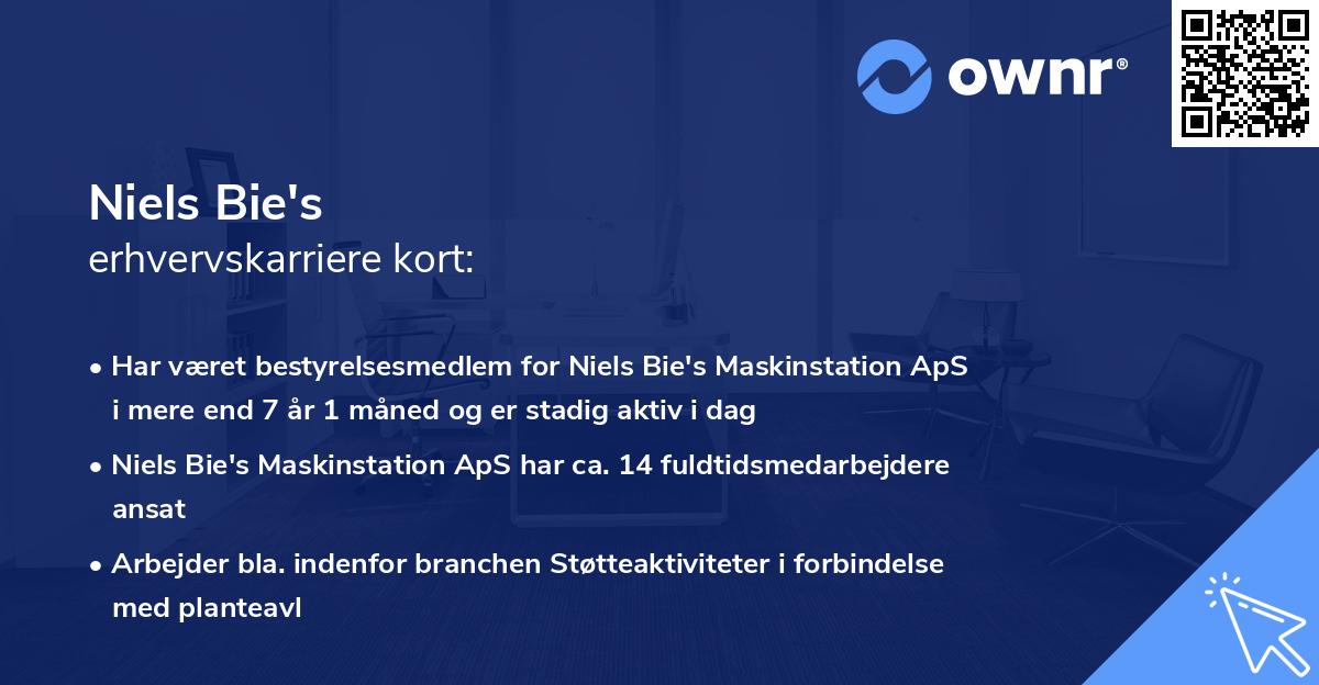 Niels Bie's erhvervskarriere kort