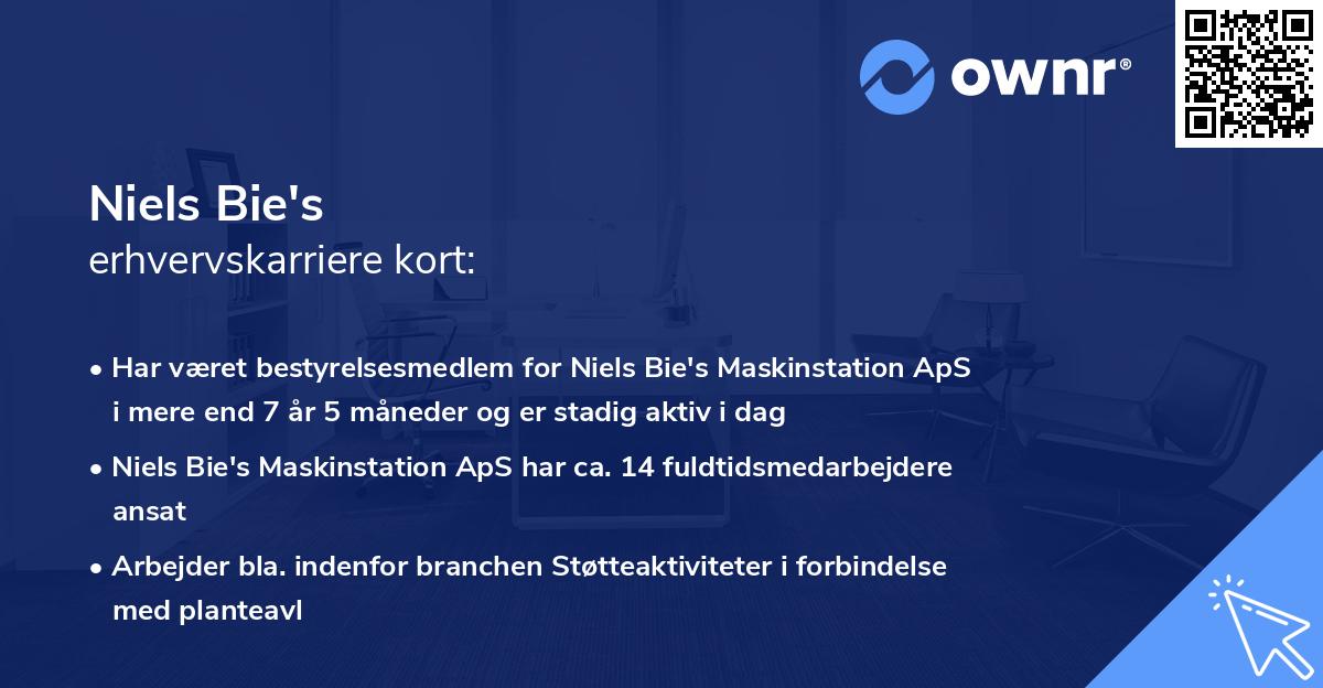 Niels Bie's erhvervskarriere kort