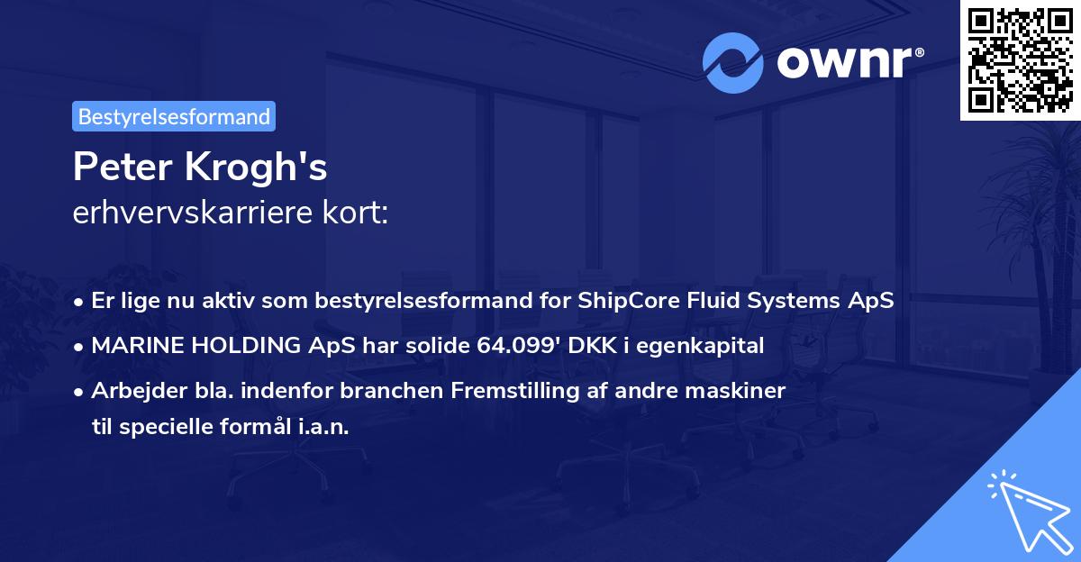 Peter Krogh's erhvervskarriere kort