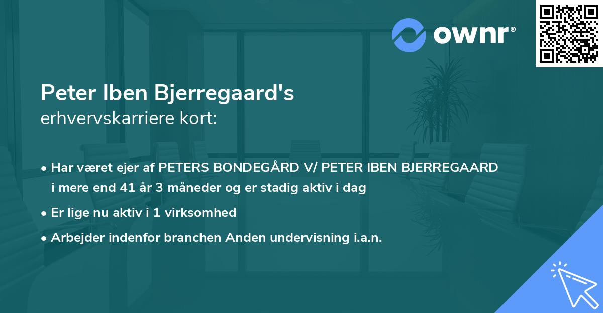 Peter Iben Bjerregaard's erhvervskarriere kort