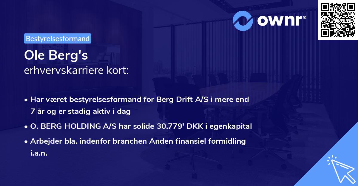 Ole Berg's erhvervskarriere kort