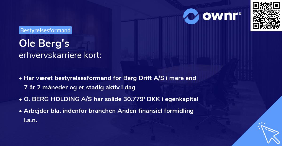 Ole Berg's erhvervskarriere kort