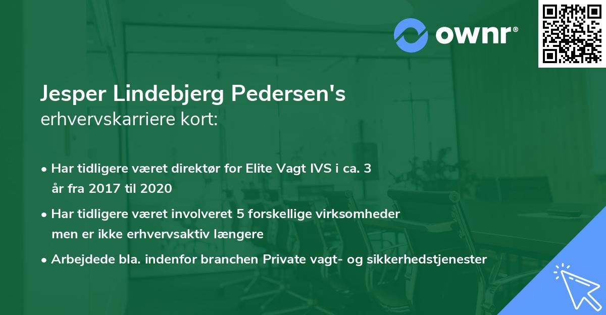 Jesper Lindebjerg Pedersen's erhvervskarriere kort
