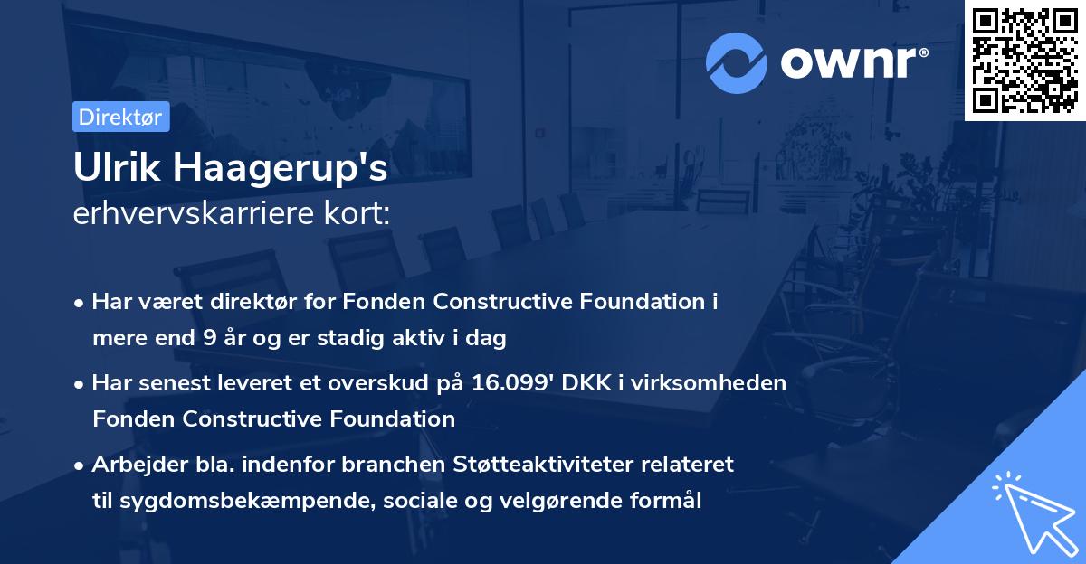 Ulrik Haagerup's erhvervskarriere kort