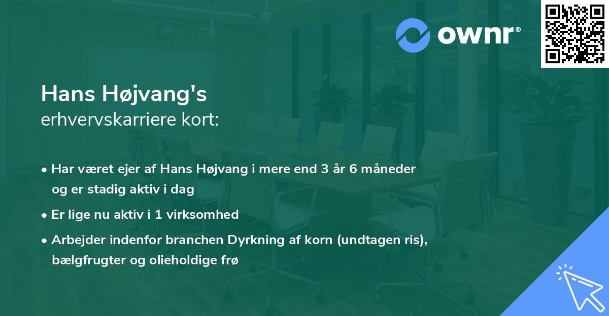 Hans Højvang's erhvervskarriere kort