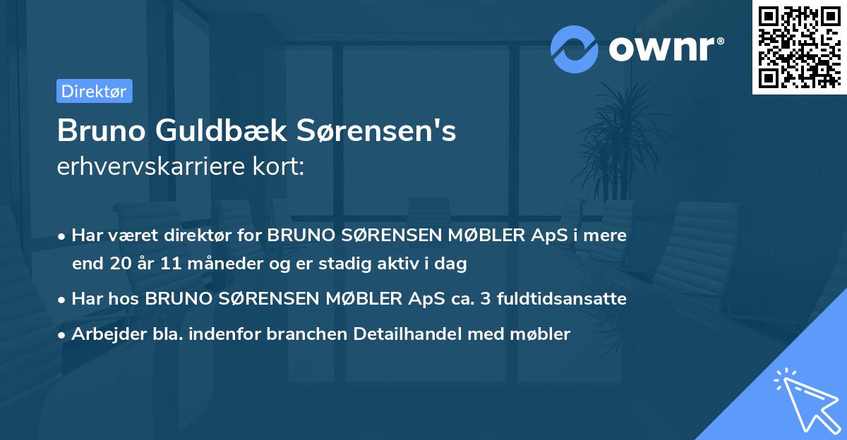 Bruno Guldbæk Sørensen's erhvervskarriere kort