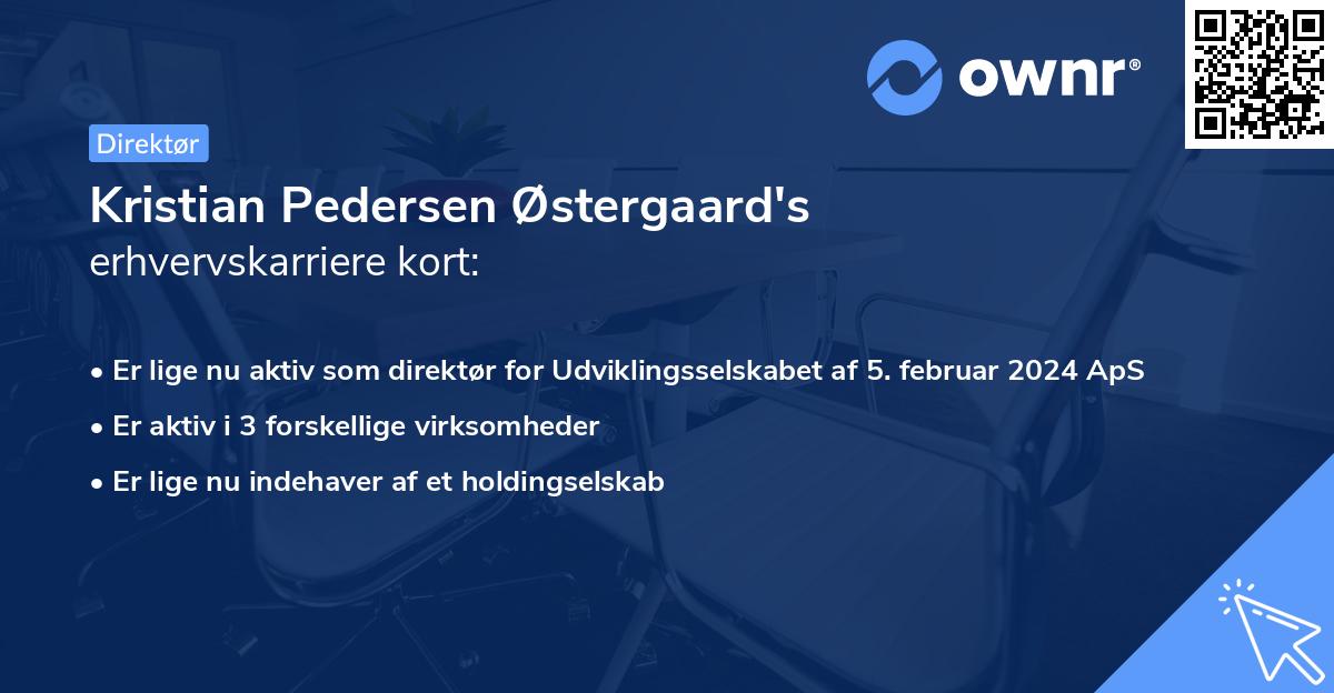 Kristian Pedersen Østergaard's erhvervskarriere kort