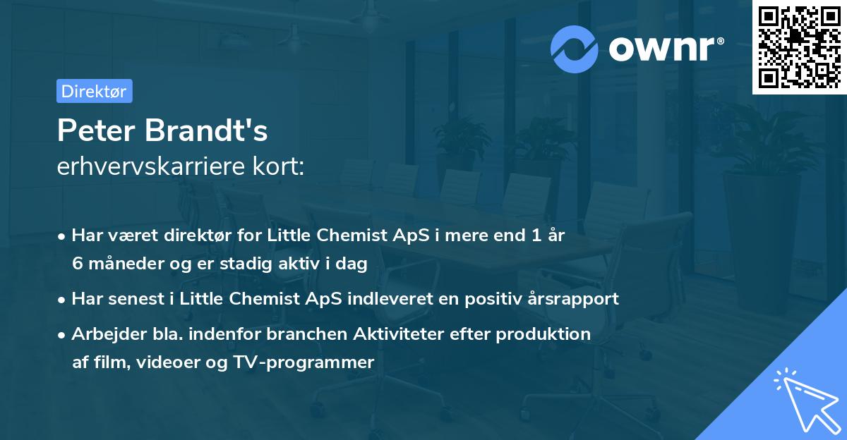 Peter Brandt's erhvervskarriere kort
