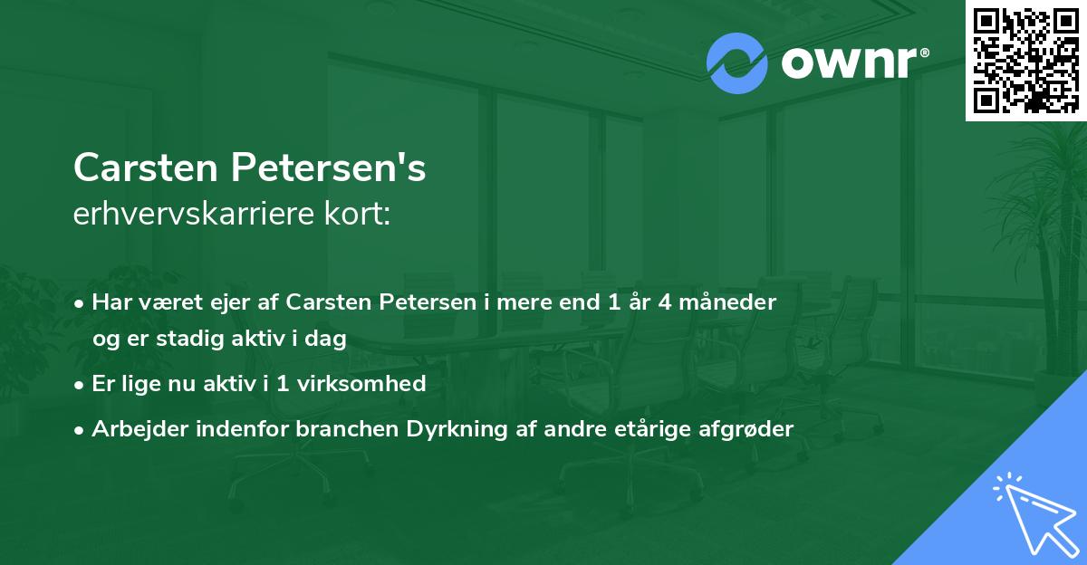 Carsten Petersen's erhvervskarriere kort