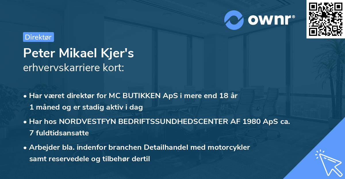 Peter Mikael Kjer's erhvervskarriere kort