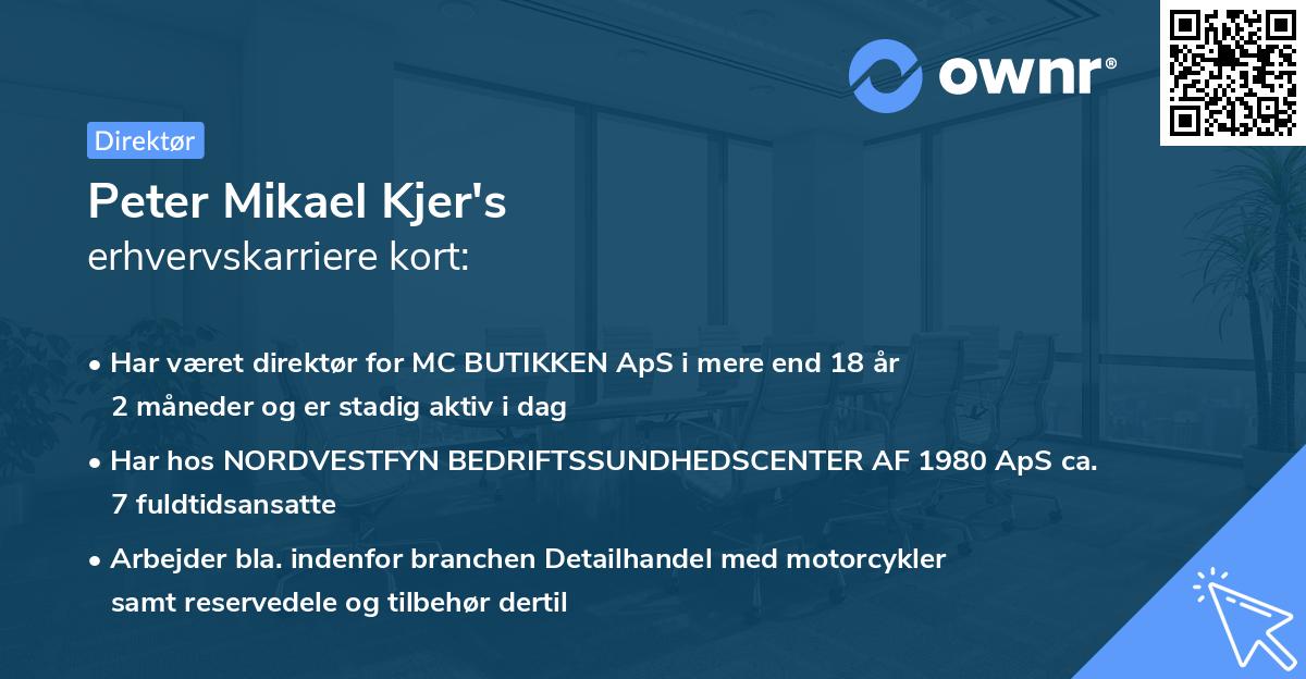 Peter Mikael Kjer's erhvervskarriere kort