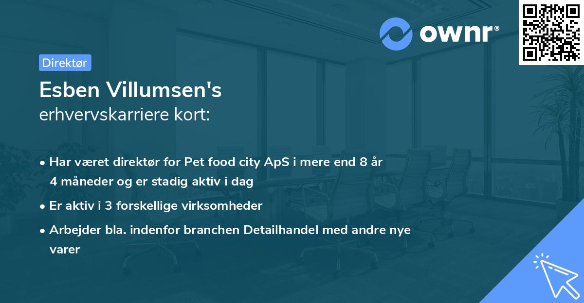 Esben Villumsen's erhvervskarriere kort