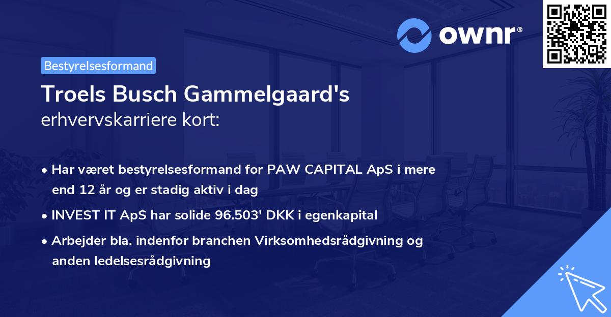 Troels Busch Gammelgaard's erhvervskarriere kort