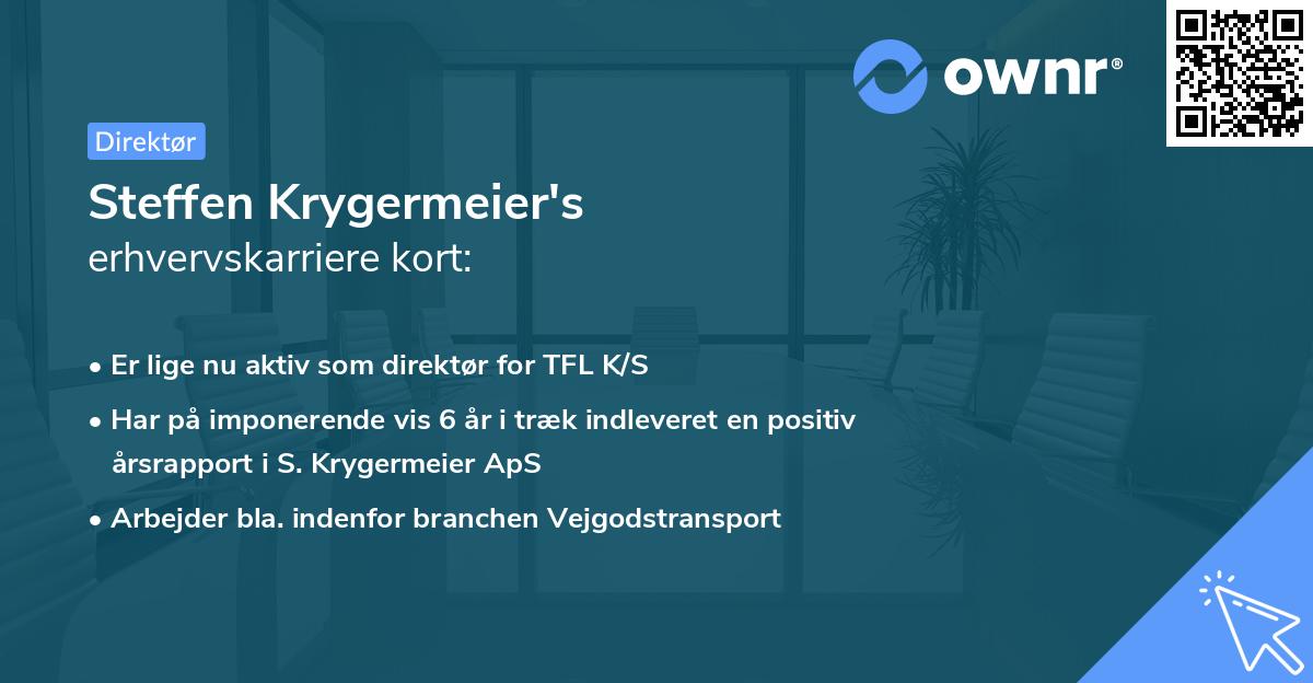 Steffen Krygermeier's erhvervskarriere kort
