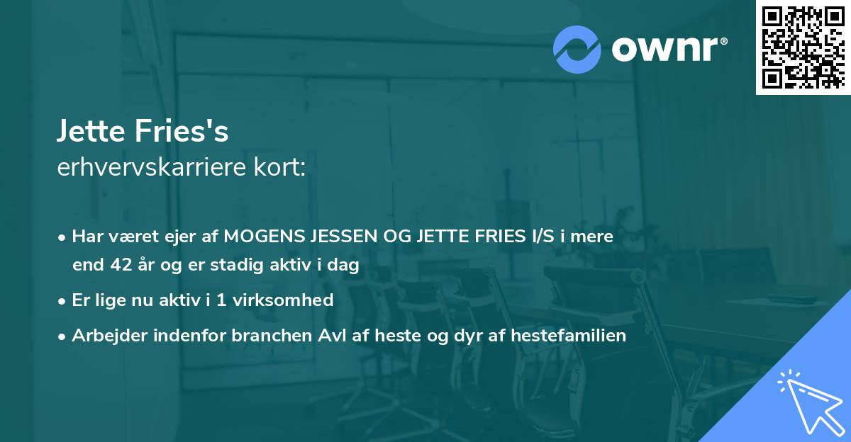 Jette Fries's erhvervskarriere kort