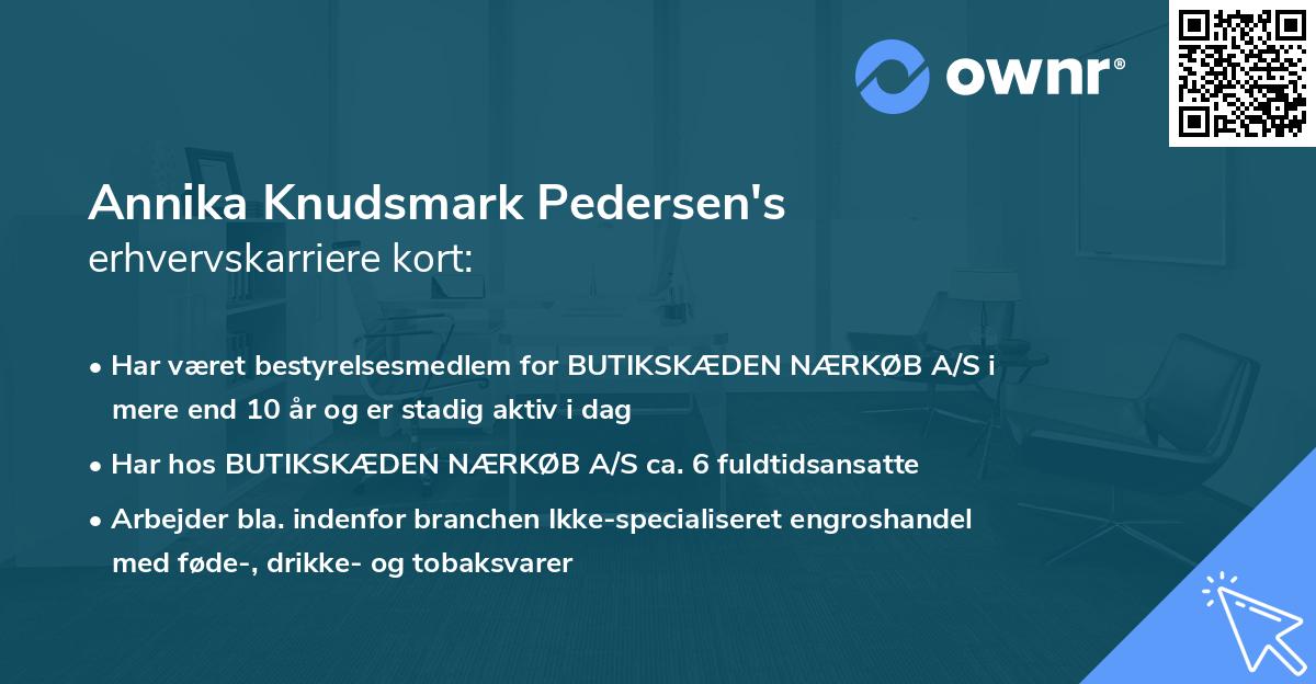 Annika Knudsmark Pedersen's erhvervskarriere kort
