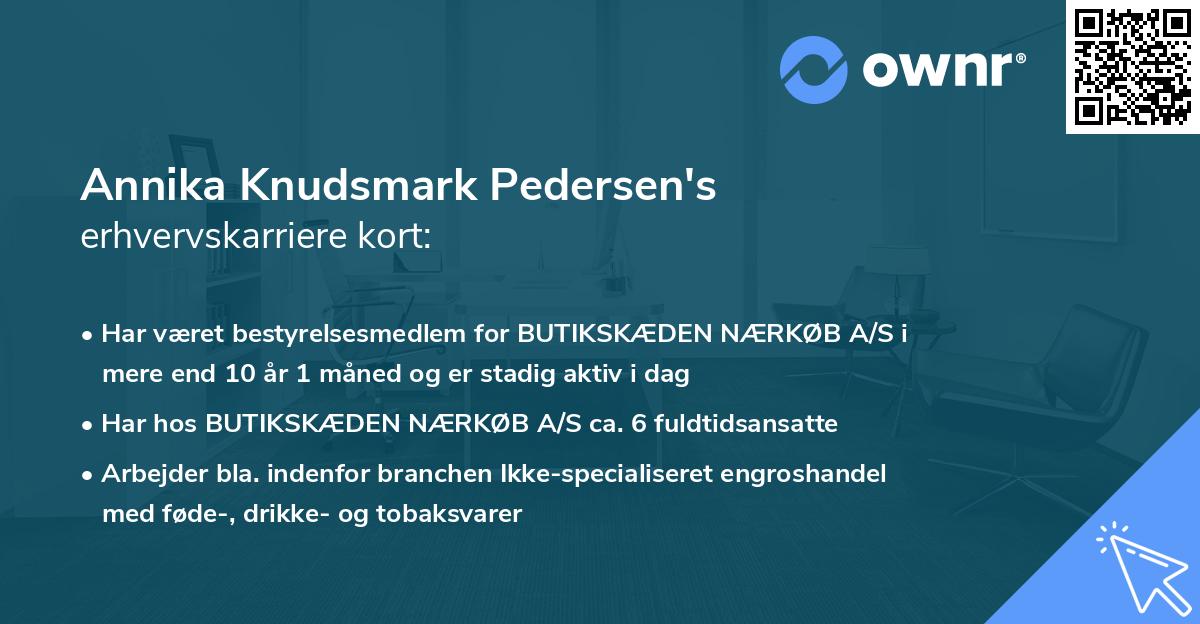 Annika Knudsmark Pedersen's erhvervskarriere kort