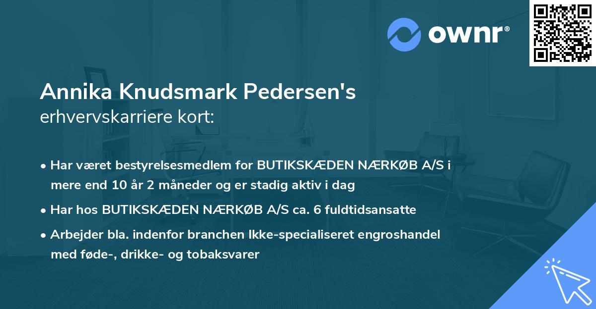 Annika Knudsmark Pedersen's erhvervskarriere kort