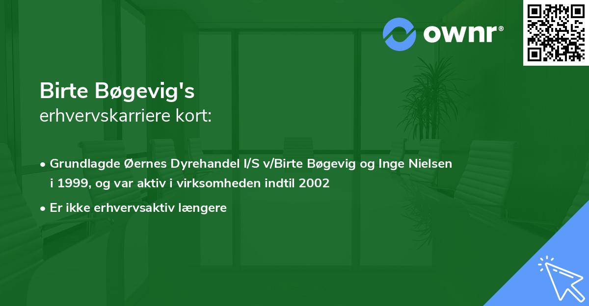Birte Bøgevig's erhvervskarriere kort