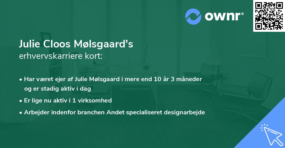 Julie Cloos Mølsgaard's erhvervskarriere kort