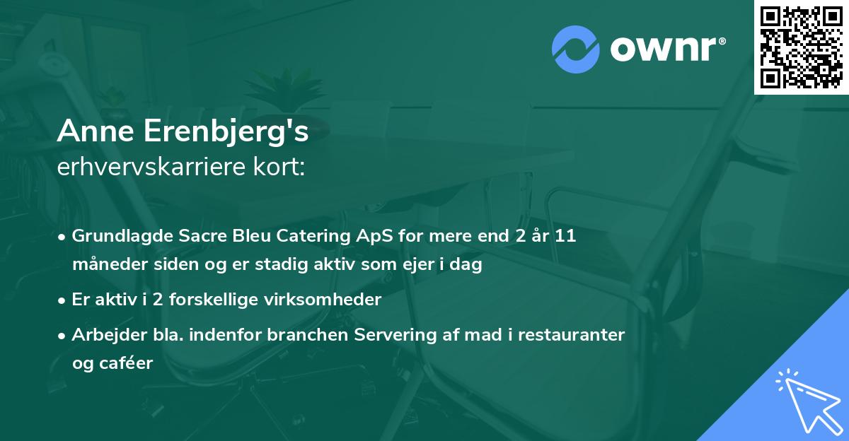 Anne Erenbjerg's erhvervskarriere kort