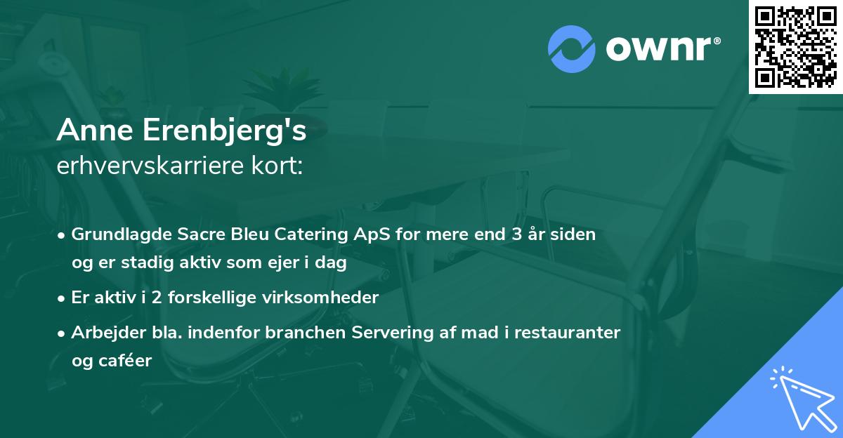 Anne Erenbjerg's erhvervskarriere kort