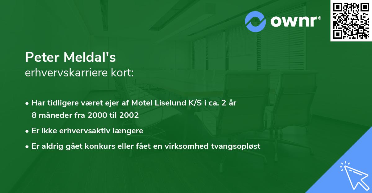 Peter Meldal's erhvervskarriere kort