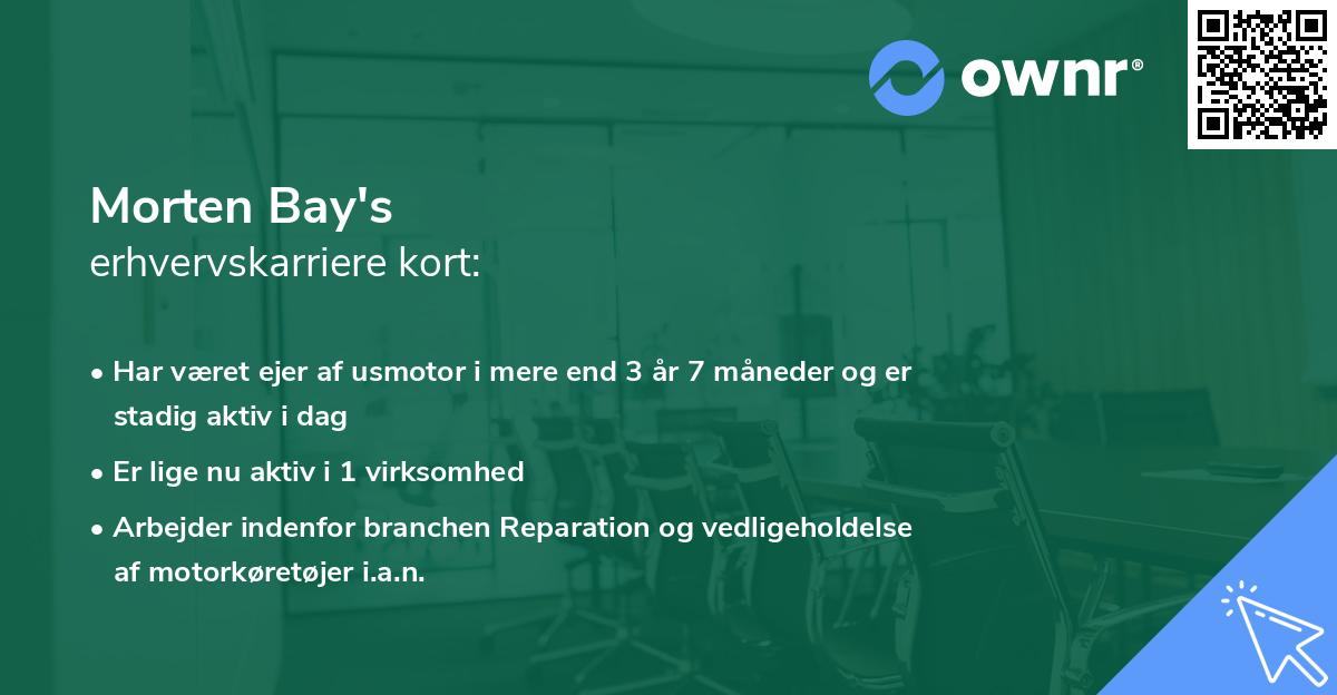 Morten Bay's erhvervskarriere kort