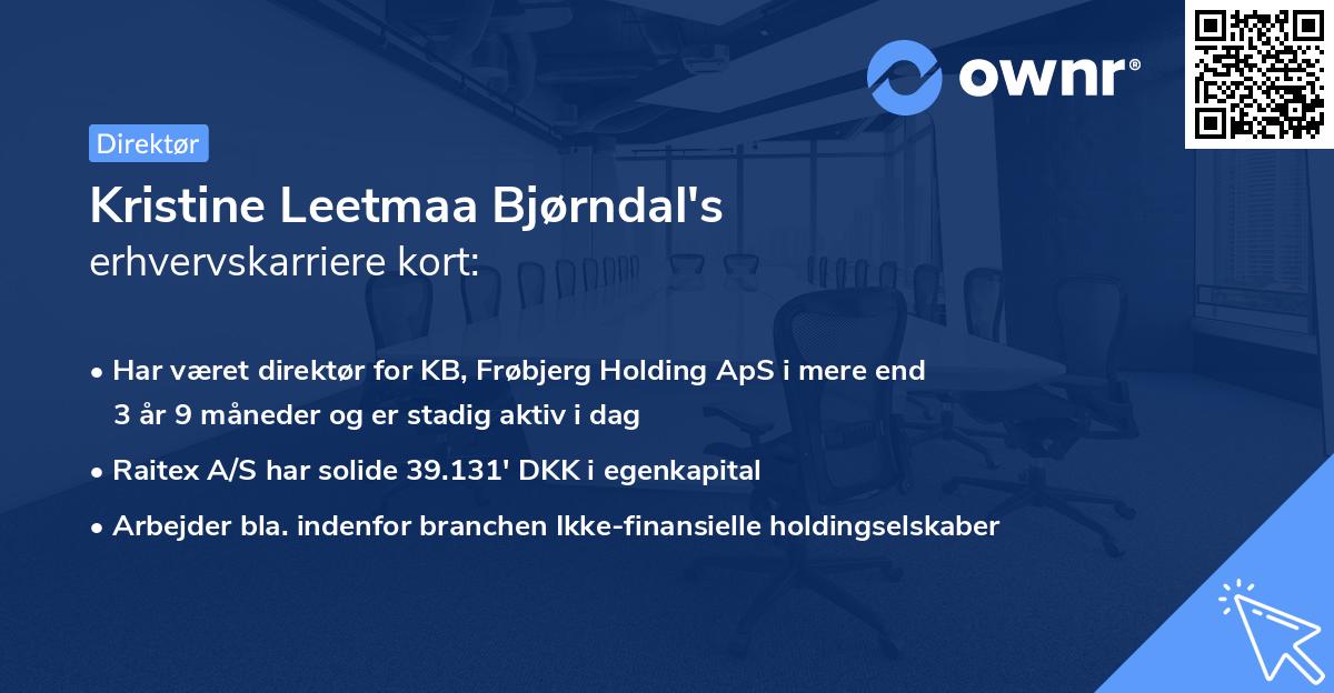 Kristine Leetmaa Bjørndal's erhvervskarriere kort